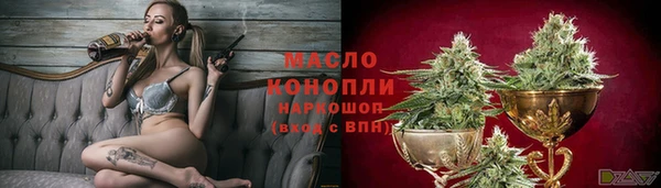 гидра Наволоки