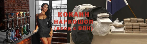 гидра Наволоки