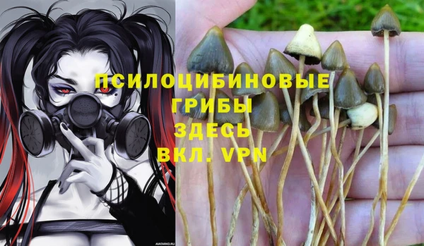 мдма Михайловка