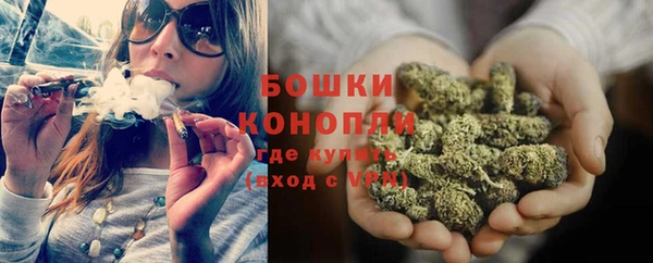 стаф Кущёвская
