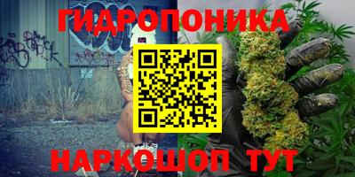 шишки Балаково