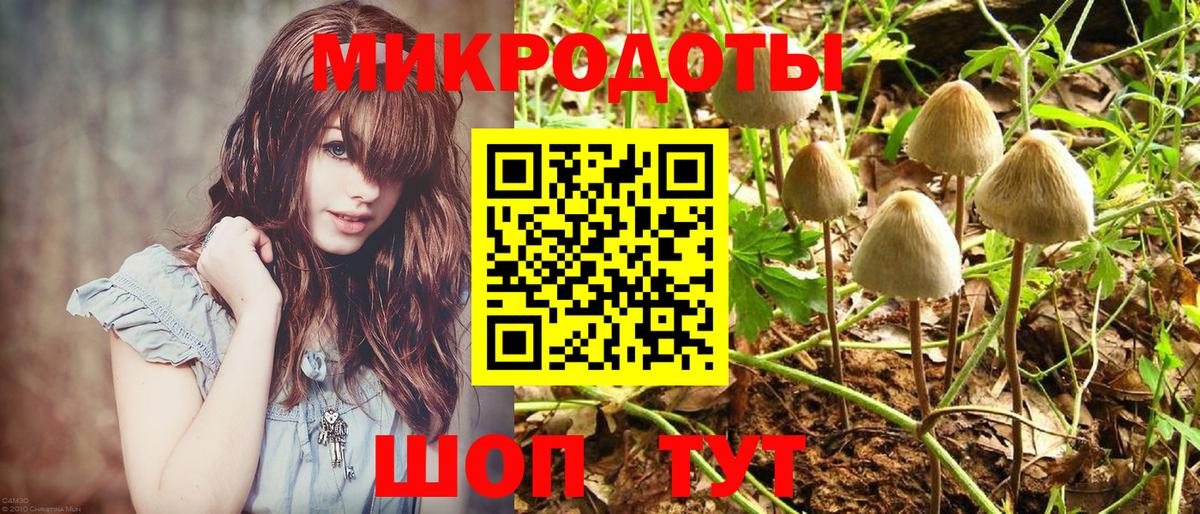 Псилоцибиновые грибы GOLDEN TEACHER Владивосток