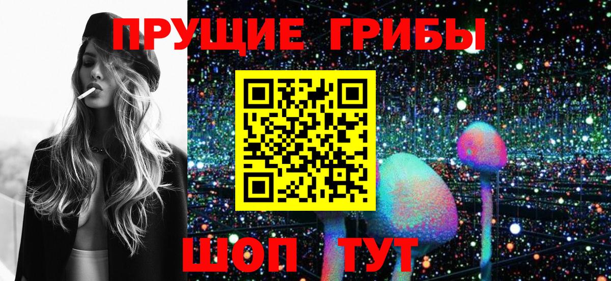 Псилоцибиновые грибы GOLDEN TEACHER Владивосток