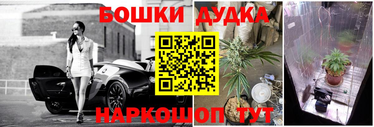 Канабис сатива Владивосток